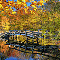Bridge to Nowhere